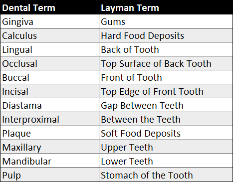 Communication In Dentistry: The Layman’s Way - Today's RDH