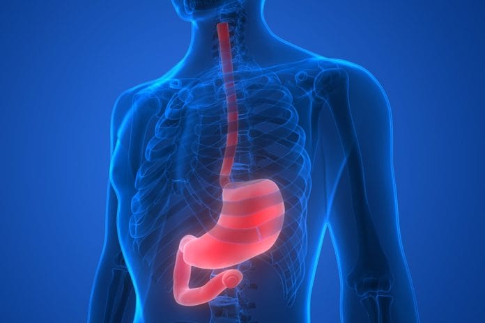 Decade-long Study: Periodontal Disease and It’s Link to Esophageal Cancer