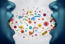 New Study Suggests Possibility of Strengthening Periodontal Immune System