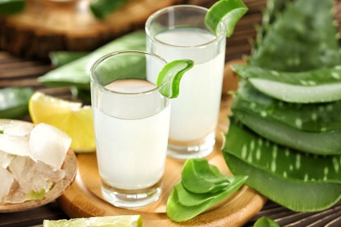 Research Shows Aloe Vera Mouthwash Can Reduce Gingival Inflammation