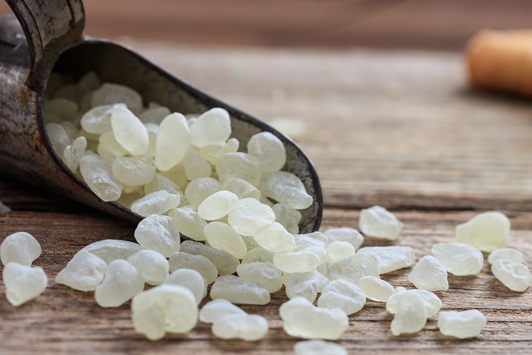 Mastic Gum: What Are the Benefits and Risks