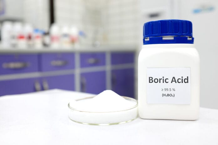 boric acid periodontal study