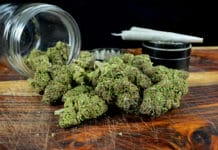 How Increased Marijuana Legalization Impacts Oral Health of Dental Patients