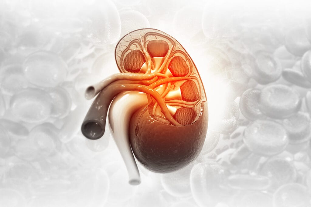 Study Looks at Oral Health Complications of Kidney Re-transplant ...