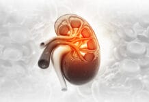 Study Looks at Oral Health Complications of Kidney Re-transplant Patients