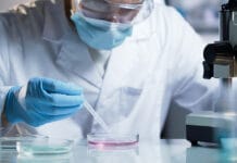 Refresher on Different Types of Scientific Studies and Their Clinical Relevance