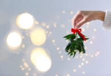 ‘Tis the Season: Mistletoe Offers a Rich History as Medicine