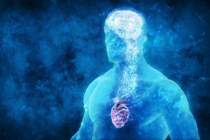 Emotional Intelligence: How a Dental Hygienist Can Acquire Higher EQ