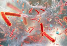 Quorum Sensing Research Hopes to Reduce Antibiotic Use and Oral Biofilm