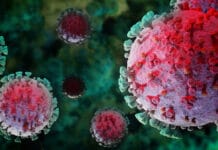 Examining the Possible Correlation between Periodontitis and COVID-19