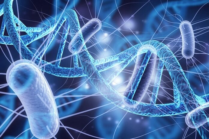 Research Finds a High Abundance of Previously Unknown Antibiotic-Resistant Genes in Bacteria