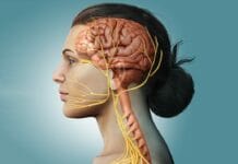 Hypoglossal Nerve Stimulation Treatment for Obstructive Sleep Apnea