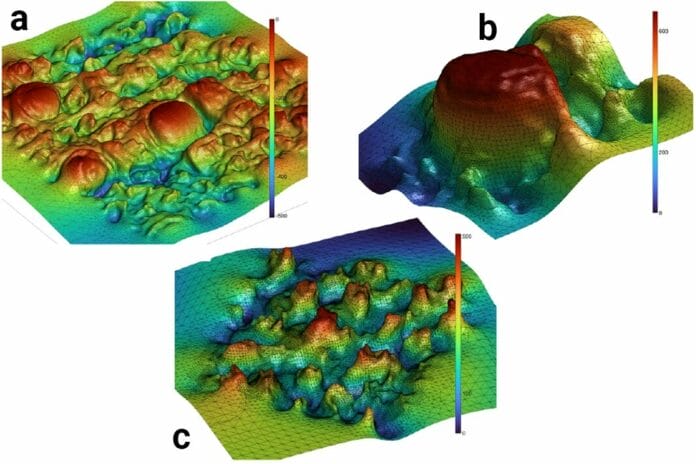 Research Using AI and 3D Imaging Unveils Unique Terrain of Individual Tongue Surfaces