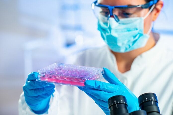 Research Explores Innovative Tissue Regeneration for Endodontic Diseases With Potential Beyond Dentistry