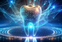 Tooth Regeneration Therapy: Regrowing Teeth May Soon Be Possible