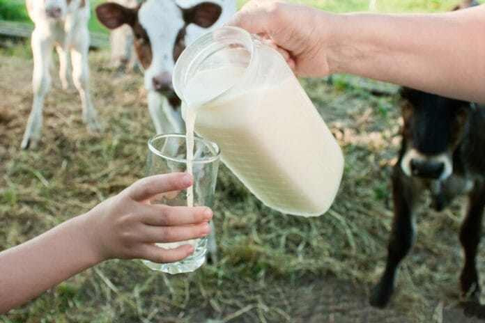 dangers of raw milk